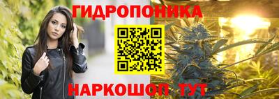 соль ск Кулебаки